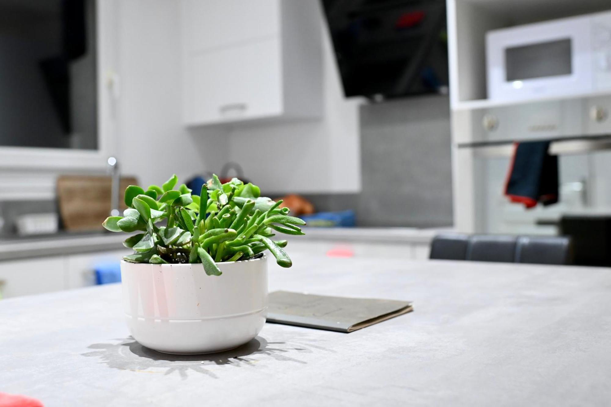 Apartament Cosy Colour Place Villiers-sur-Marne Zewnętrze zdjęcie